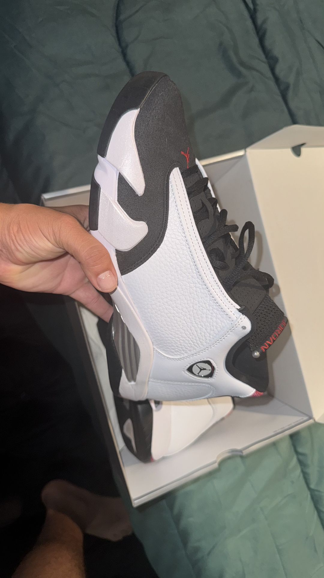 Jordan 14 