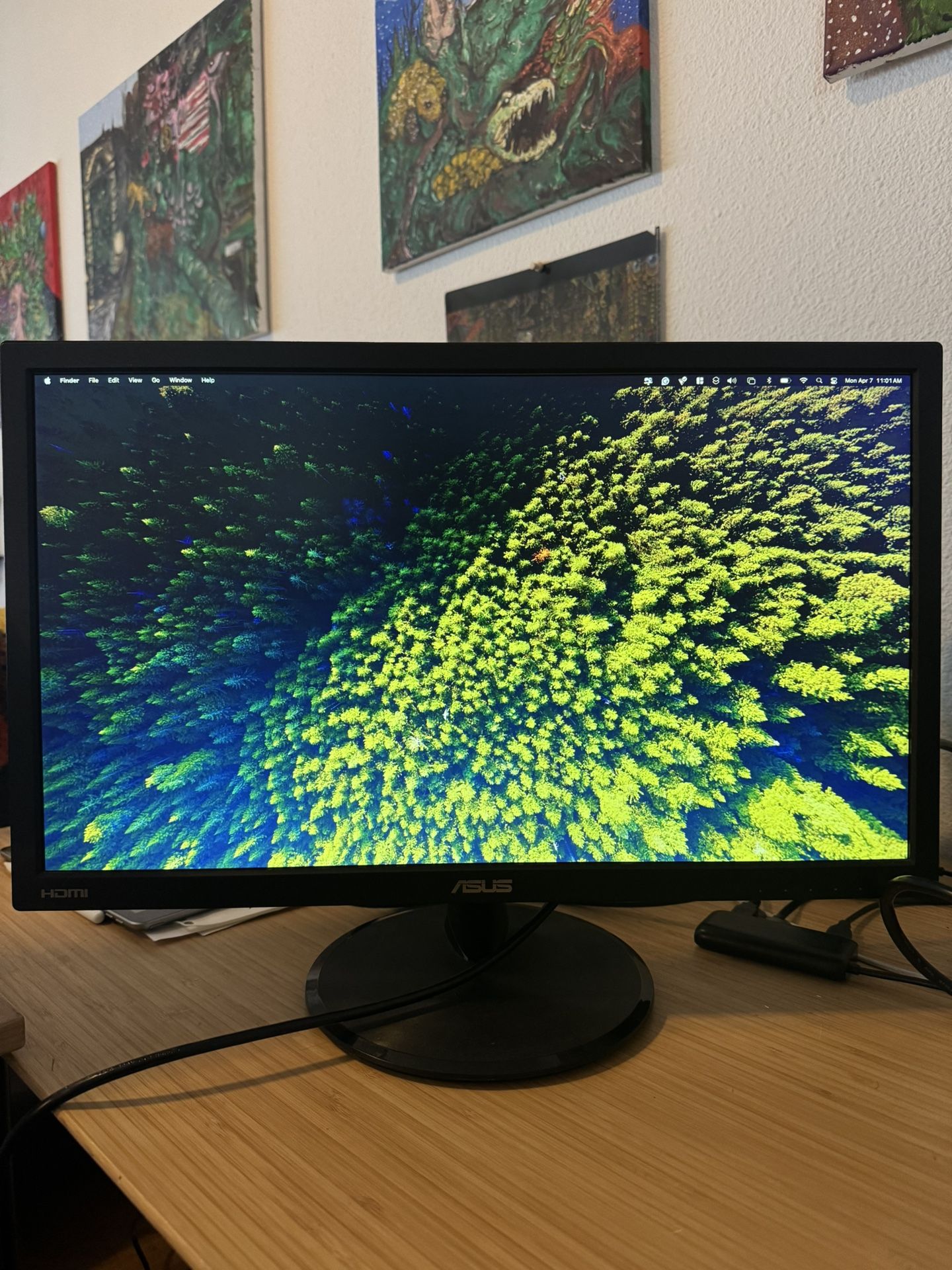 Asus 21.5” inch Computer Monitor