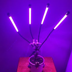 Grow Lights with Red Blue Full Spectrum 10 Dimmable Level for Plants
