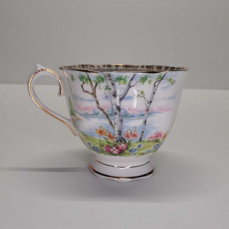 Vintage Royal Albert Silver Birch Bone China Tea Cup England