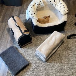 Small Dog Bundle 