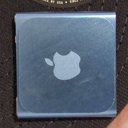 Apple Ipod