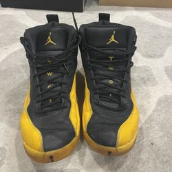 Jordan 12