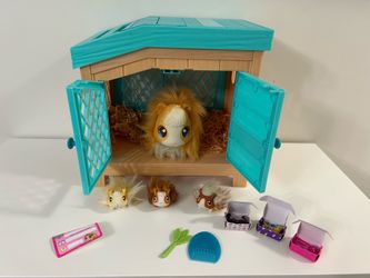 Guinea Pig Toy