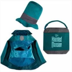 Disney Haunted Mansion Halloween Dog Costume 