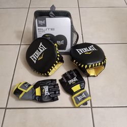 Everlast Mini Mitts and gloves