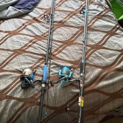 Saltwater Rod And Reels