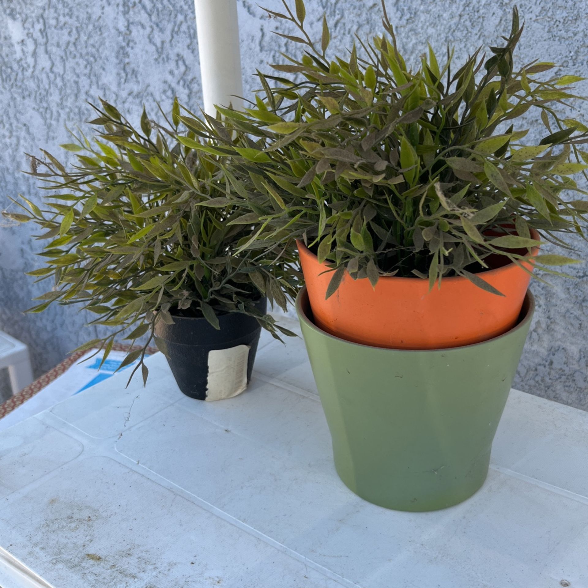 Fake Potted Plants for Sale in San Diego, CA OfferUp