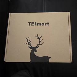 TESmart
