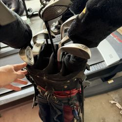 Golden Bear Golf Club And Bag