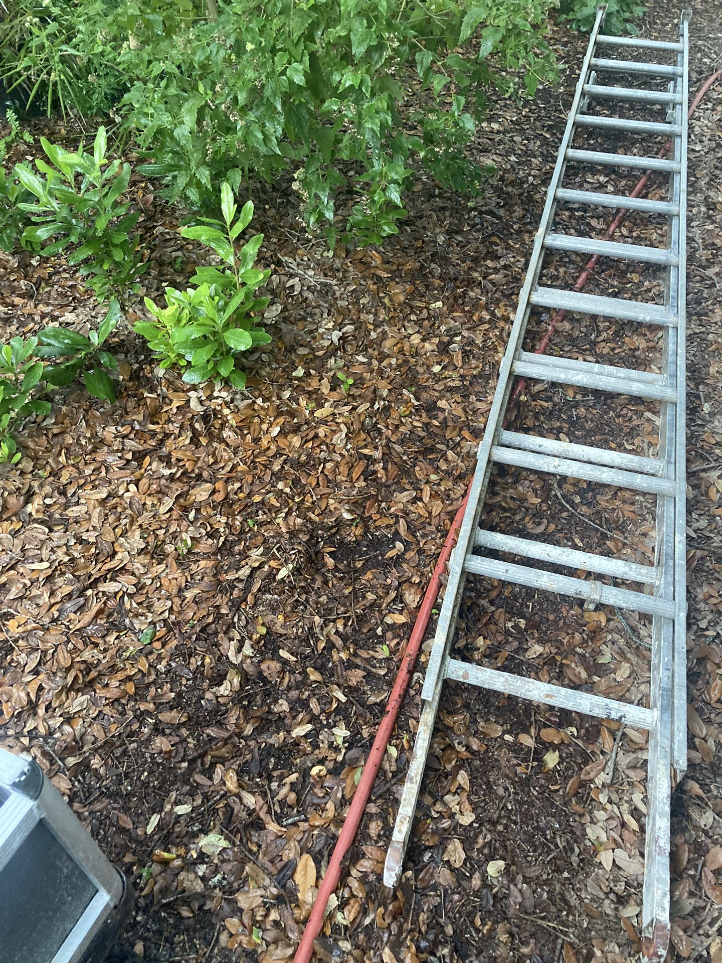 24 Foot Ladder