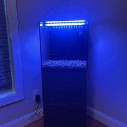 Salt Water Starter Kit