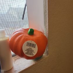 Pumpkin You Can carve