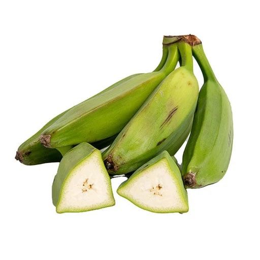 Burro Banana Tree