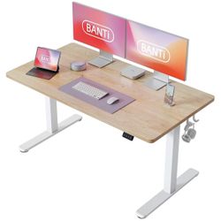 55” Sit Stand Work Desk (Motorized)