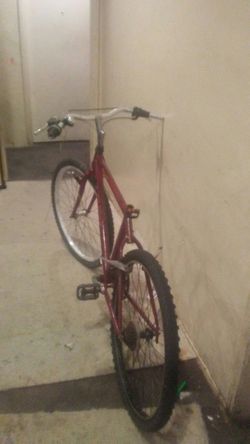 Trek. Mountain. Bike