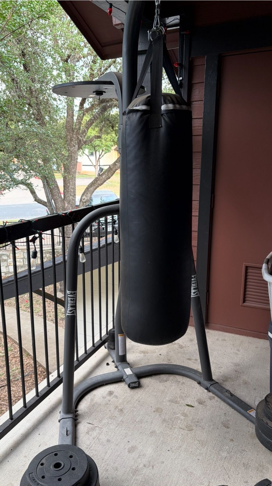 Everlast Punching Bag