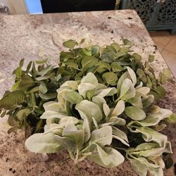 Random Greenery Eucalyptus Stems 