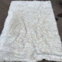 Furry Area Rug