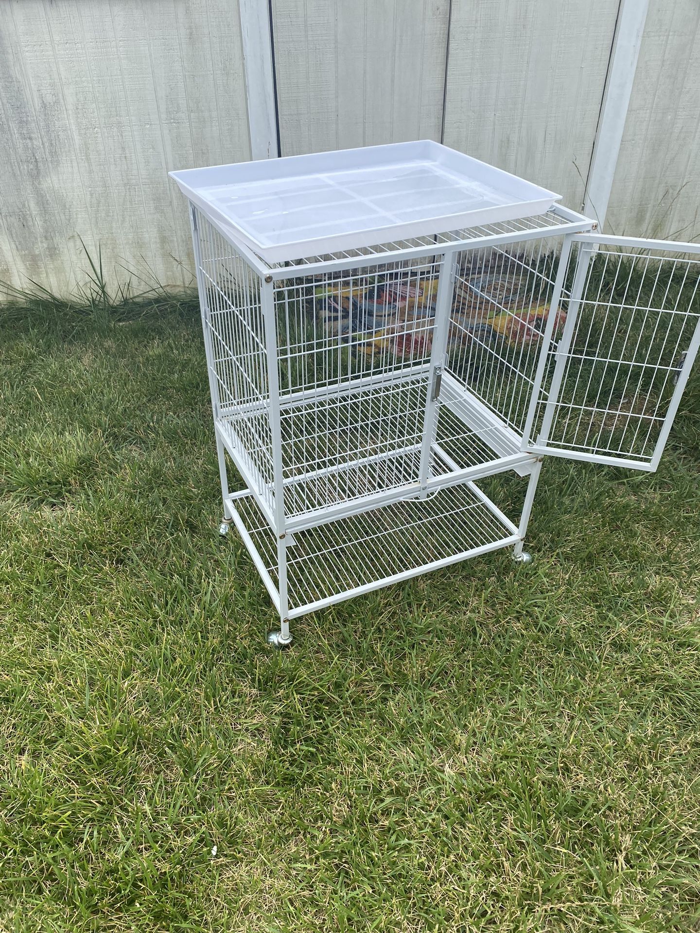 Bird Cage