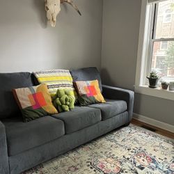 Sleep Sofa