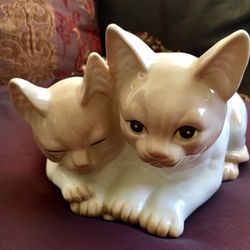 Cat kitten love in porcelain collectible