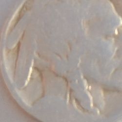 Buffalo Nickel 