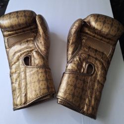 Boxing Gloves/ Guantes De Box