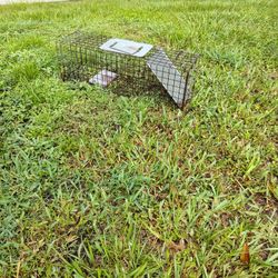 Critter Trap