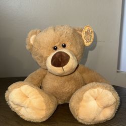 Teddy Plushie 