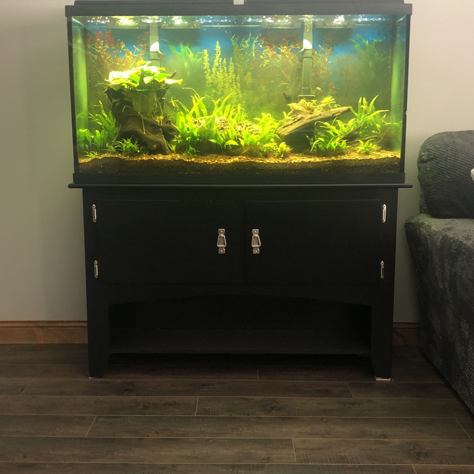 60 Gallon  Aquarium. $600 Invested Coral RLight, 2 Marine land Power Filters, Gravel, 2 Driftwood Decorations , Rocks  and  Live Plants