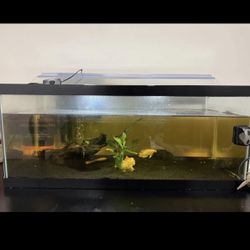 20 Gallon Long Fish Tank Sale Or Trade 