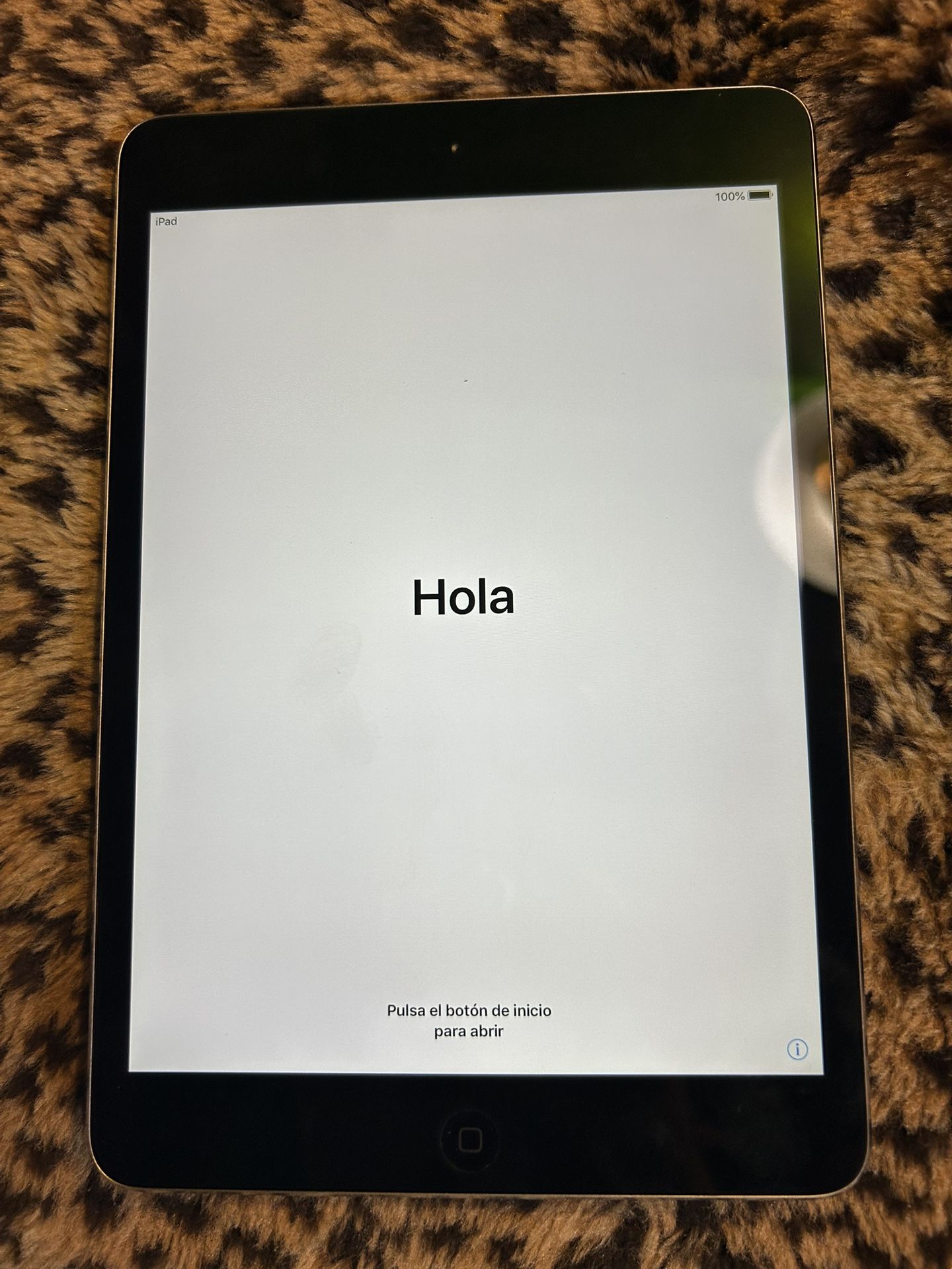 iPad Mini 2