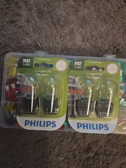 Philips(3157 LLB2) 2 PK