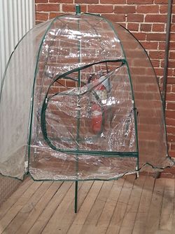 Beach/sports tent