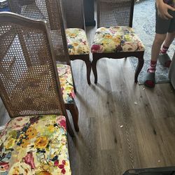 6 Vintage Cane Back Chairs 