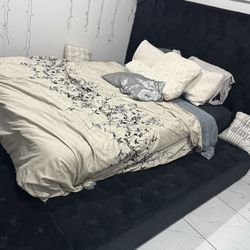 Black Velvet Queen Bed Frame 