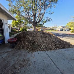 Arborist mulch free