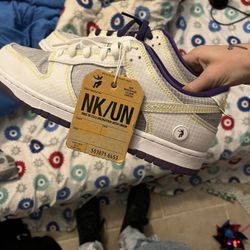 Nike Dunks (union)