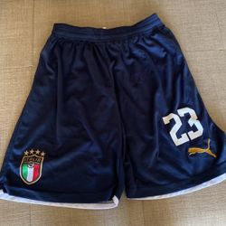 Puma Navy Blue Shorts