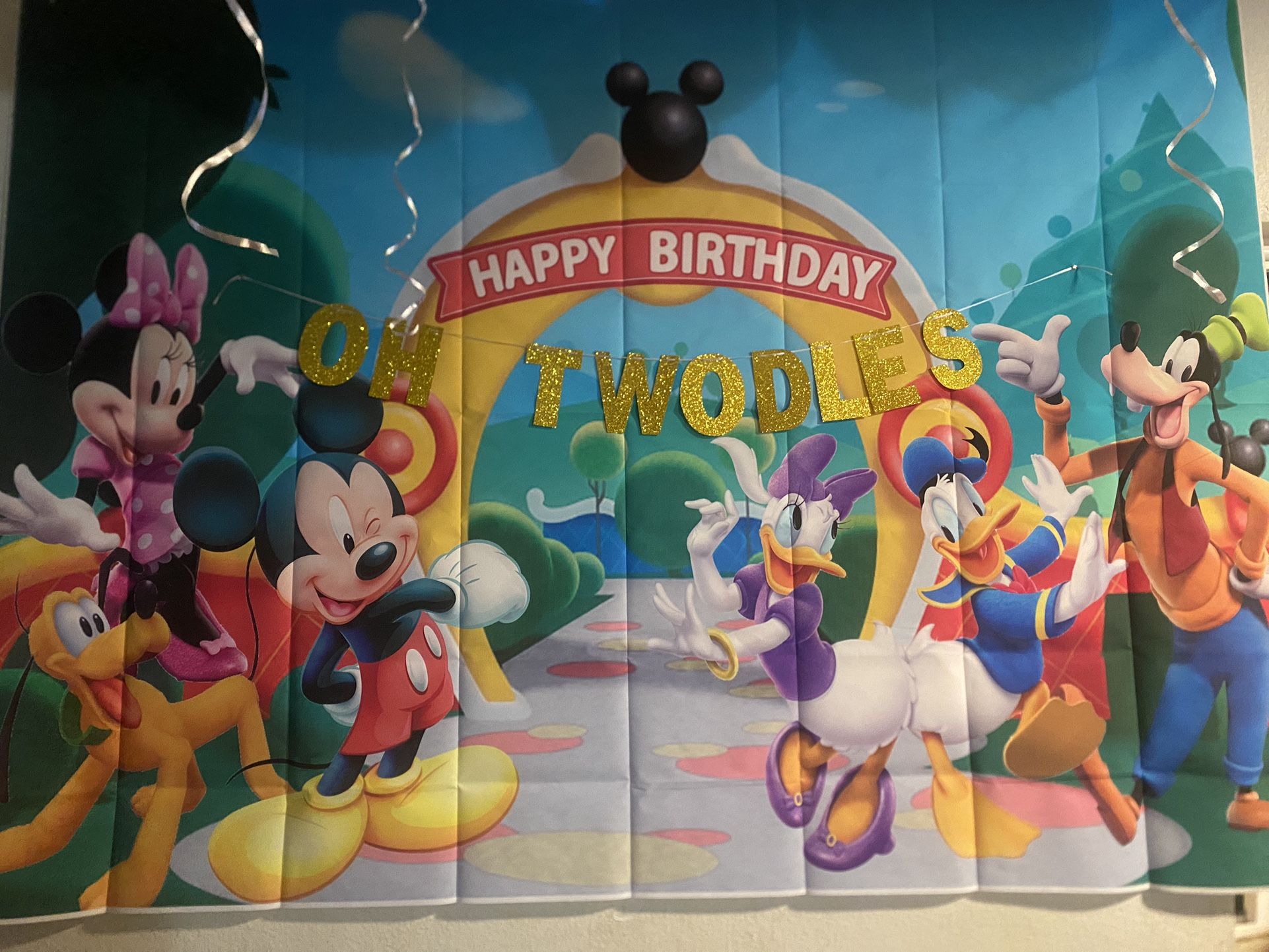 Mickey Mouse Backdrop