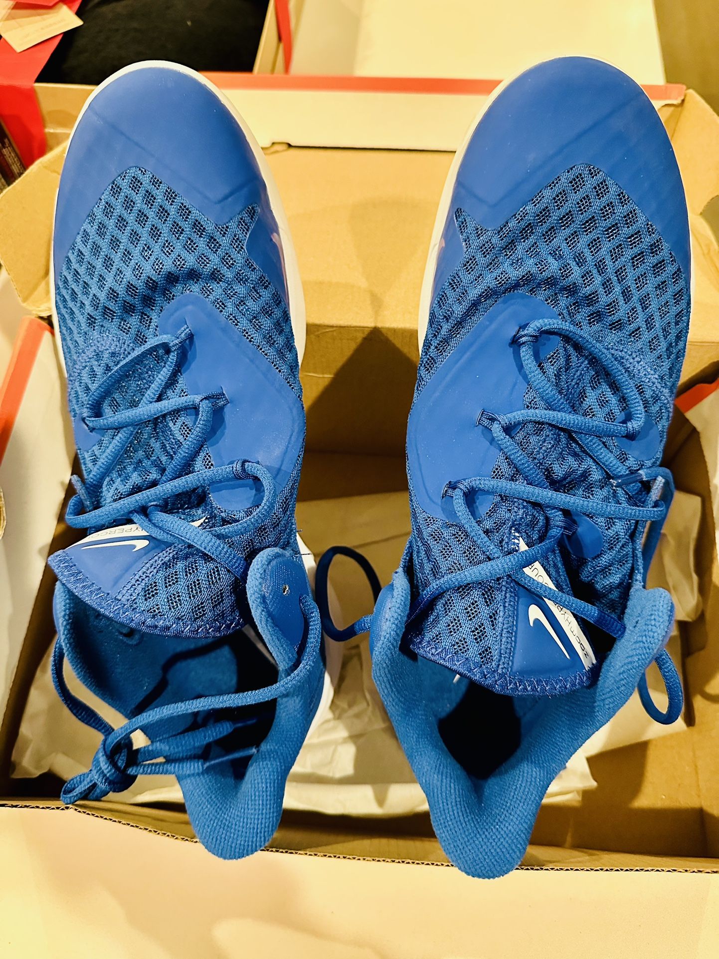 Nike Shoes: HyperSpeed Court