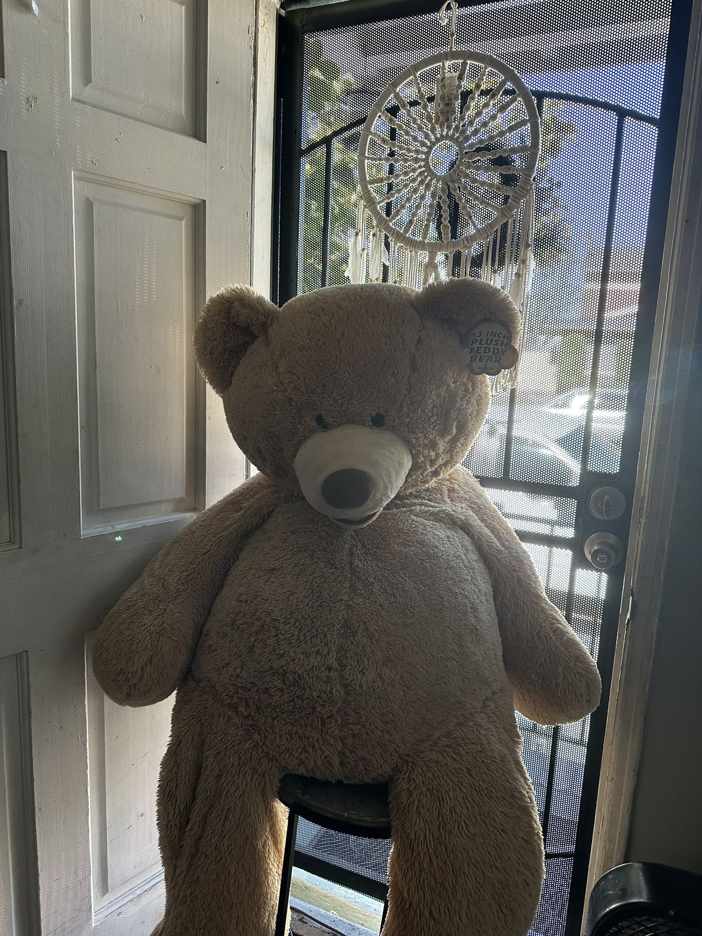 Teddy bear