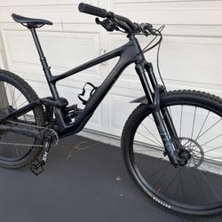 2020 Specialized Enduro Large Frame