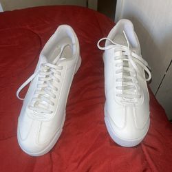 Pumas 
