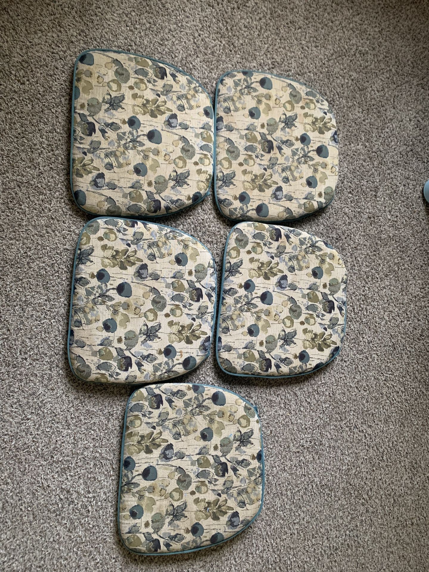 5 Chair Cushions
