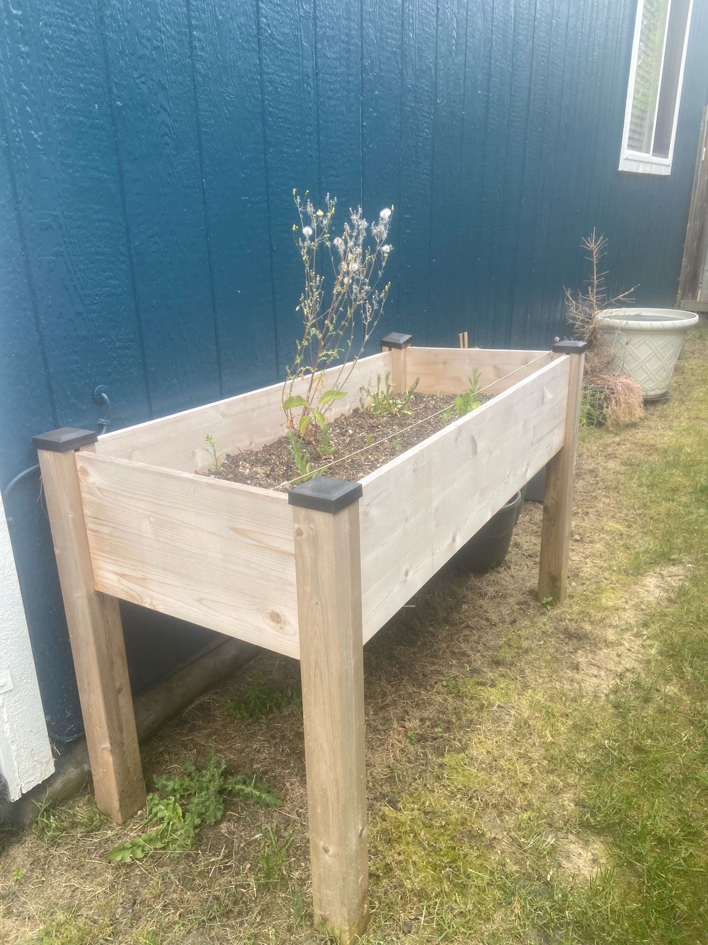 Raised Flower Bed