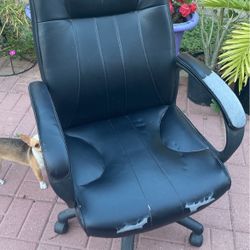 Silla $5.00 Giratoria 