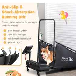 Treadmill for dog