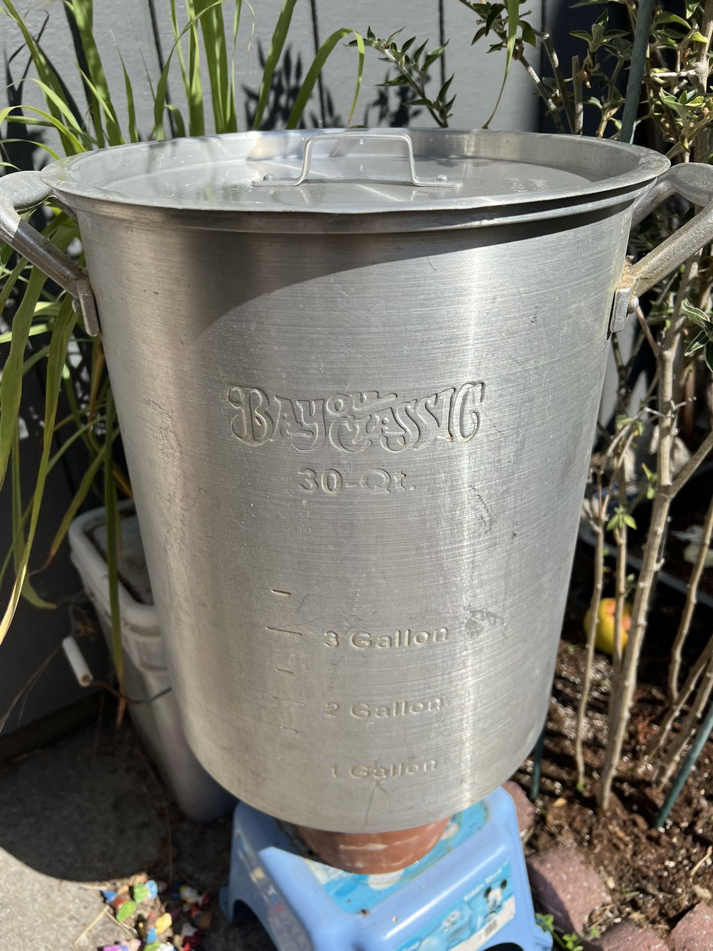 Bayou Classic 30 Qt. Outdoor Turkey Fryer Pot with Vented Lid